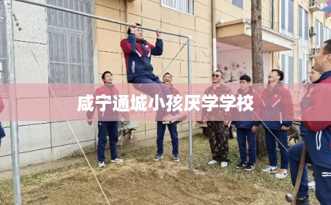 咸宁通城小孩厌学学校
