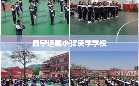 咸宁通城小孩厌学学校