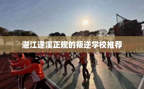 湛江遂溪正规的叛逆学校推荐