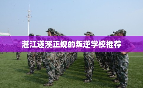 湛江遂溪正规的叛逆学校推荐
