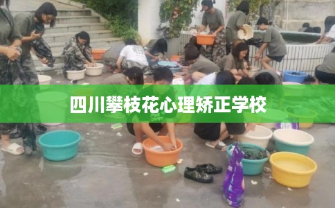 四川攀枝花心理矫正学校