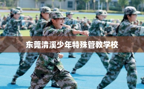东莞清溪少年特殊管教学校