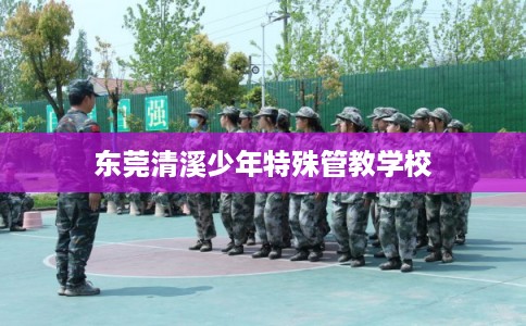 东莞清溪少年特殊管教学校