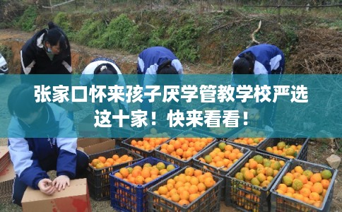 张家口怀来孩子厌学管教学校严选这十家！快来看看！