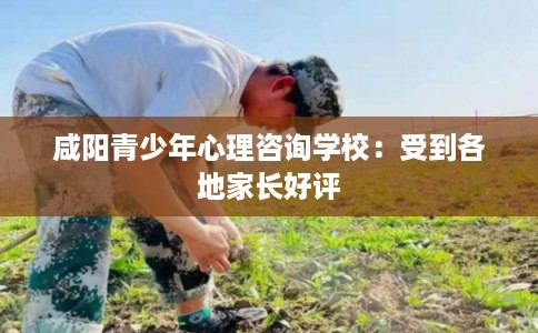 咸阳青少年心理咨询学校：受到各地家长好评