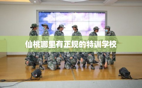 仙桃哪里有正规的特训学校