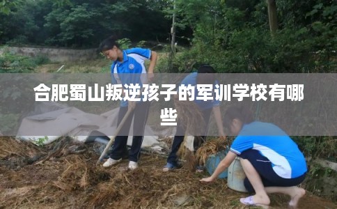 合肥蜀山叛逆孩子的军训学校有哪些