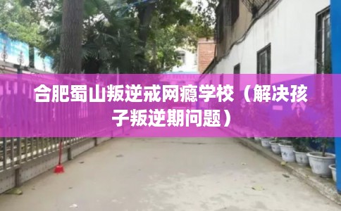 合肥蜀山叛逆戒网瘾学校（解决孩子叛逆期问题）