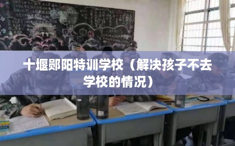 十堰郧阳特训学校（解决孩子不去学校的情况）