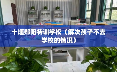 十堰郧阳特训学校（解决孩子不去学校的情况）