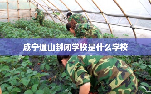 咸宁通山封闭学校是什么学校