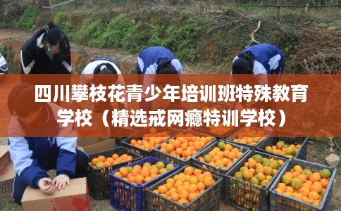 四川攀枝花青少年培训班特殊教育学校（精选戒网瘾特训学校）