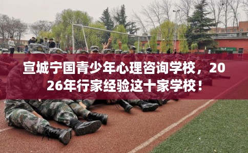 宣城宁国青少年心理咨询学校，2026年行家经验这十家学校！