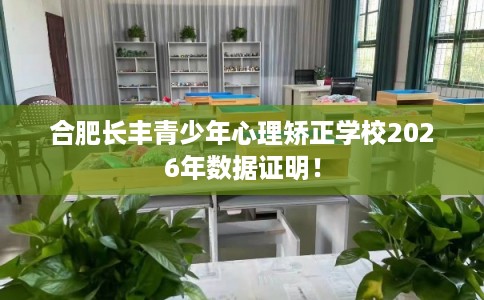 合肥长丰青少年心理矫正学校2026年数据证明！