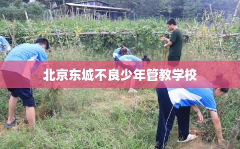 北京东城不良少年管教学校