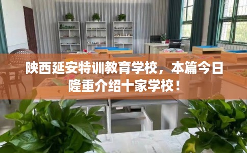 陕西延安特训教育学校，本篇今日隆重介绍十家学校！