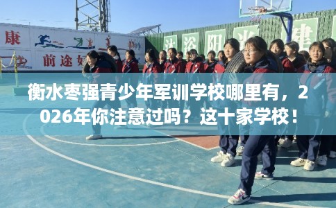 衡水枣强青少年军训学校哪里有，2026年你注意过吗？这十家学校！