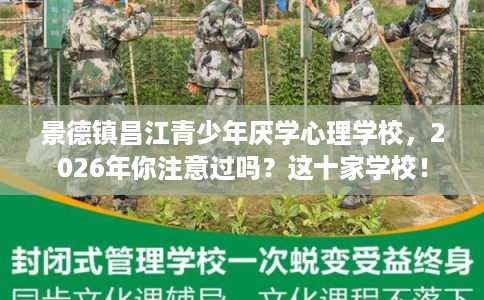 景德镇昌江青少年厌学心理学校，2026年你注意过吗？这十家学校！