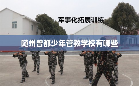 随州曾都少年管教学校有哪些
