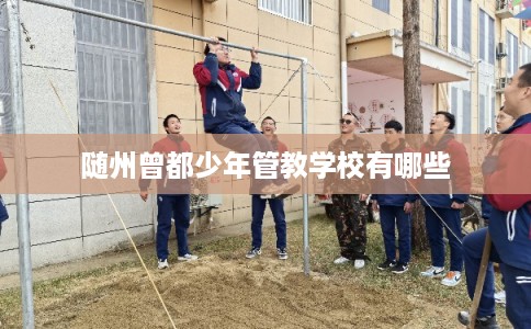 随州曾都少年管教学校有哪些