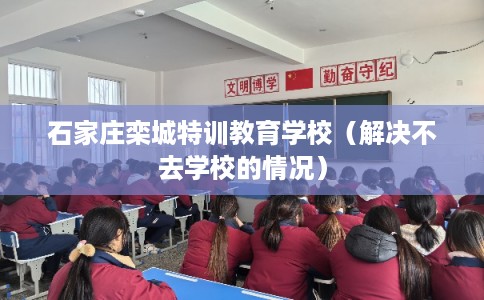 石家庄栾城特训教育学校（解决不去学校的情况）