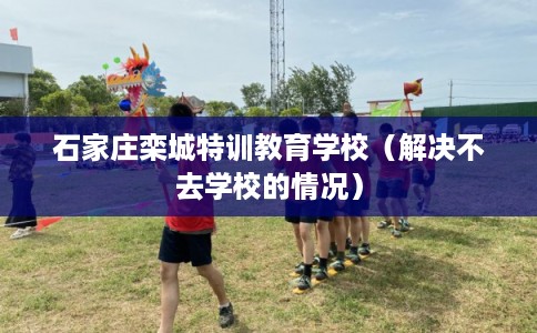 石家庄栾城特训教育学校（解决不去学校的情况）