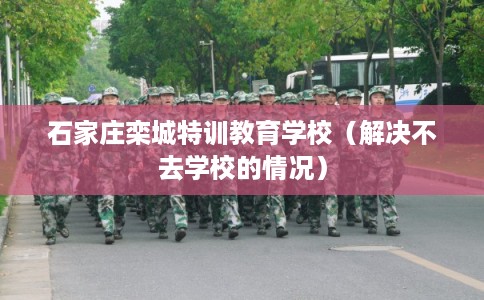 石家庄栾城特训教育学校（解决不去学校的情况）