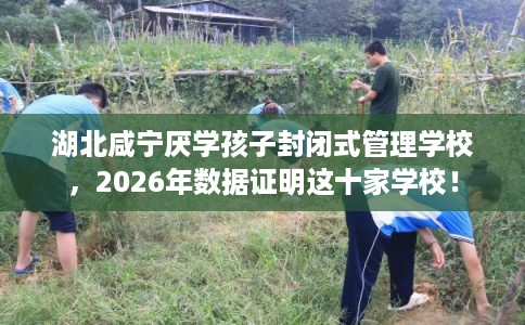 湖北咸宁厌学孩子封闭式管理学校，2026年数据证明这十家学校！