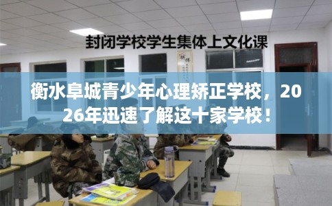 衡水阜城青少年心理矫正学校，2026年迅速了解这十家学校！