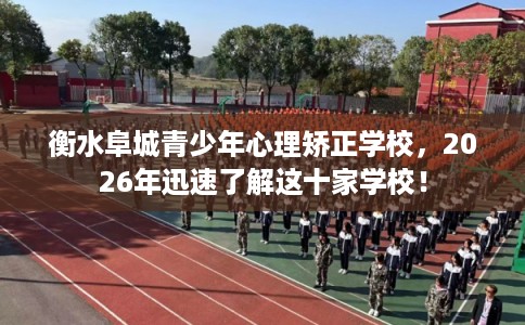 衡水阜城青少年心理矫正学校，2026年迅速了解这十家学校！