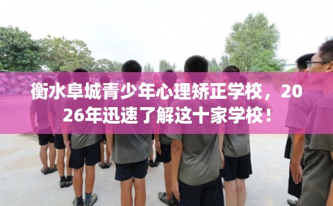 衡水阜城青少年心理矫正学校，2026年迅速了解这十家学校！
