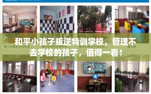 和平小孩子叛逆特训学校，管理不去学校的孩子，值得一看！