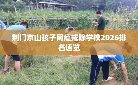 荆门京山孩子网瘾戒除学校2026排名速览