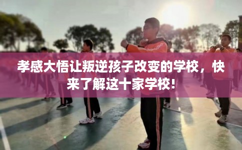 孝感大悟让叛逆孩子改变的学校，快来了解这十家学校!