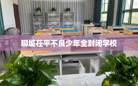 聊城茌平不良少年全封闭学校