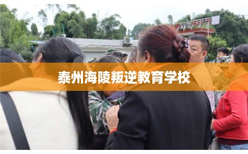 泰州海陵叛逆教育学校