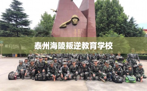 泰州海陵叛逆教育学校