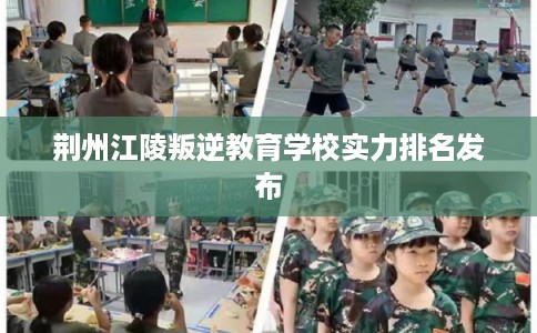 荆州江陵叛逆教育学校实力排名发布