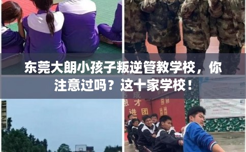 东莞大朗小孩子叛逆管教学校，你注意过吗？这十家学校！