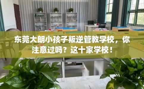东莞大朗小孩子叛逆管教学校，你注意过吗？这十家学校！