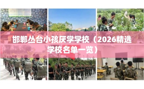 邯郸丛台小孩厌学学校（2026精选学校名单一览）