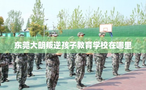 东莞大朗叛逆孩子教育学校在哪里