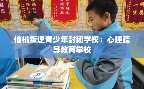 仙桃叛逆青少年封闭学校：心理疏导教育学校