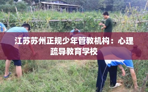 江苏苏州正规少年管教机构：心理疏导教育学校