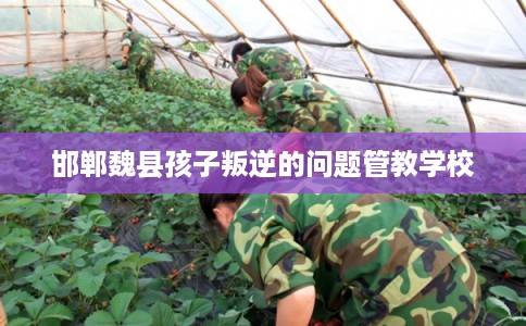 邯郸魏县孩子叛逆的问题管教学校
