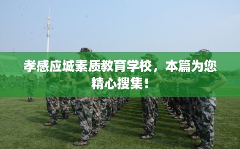 孝感应城素质教育学校，本篇为您精心搜集！