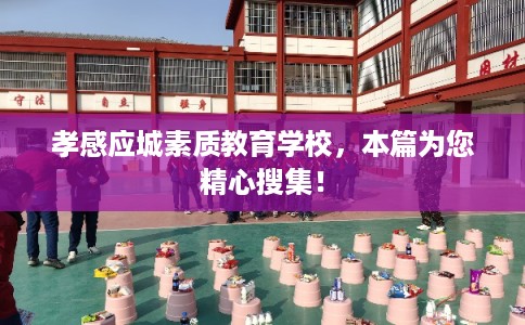 孝感应城素质教育学校，本篇为您精心搜集！