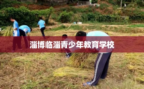 淄博临淄青少年教育学校