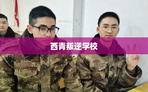 西青叛逆学校