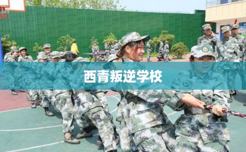 西青叛逆学校